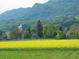 2006 05-Driving Through Switzerland Field and Town